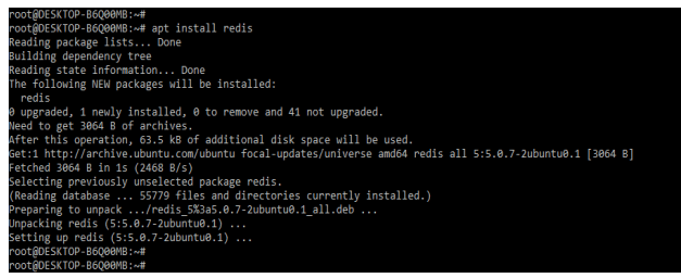 Redis Rails apt command