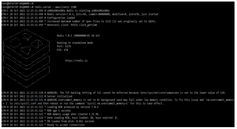 Redis Client Timeout