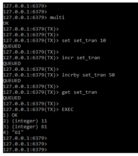 Redis Transactions - executing the exec block