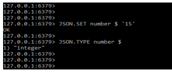 RedisJSON - value in integer format
