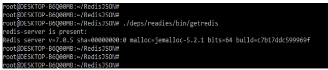 RedisJSON - loading the module