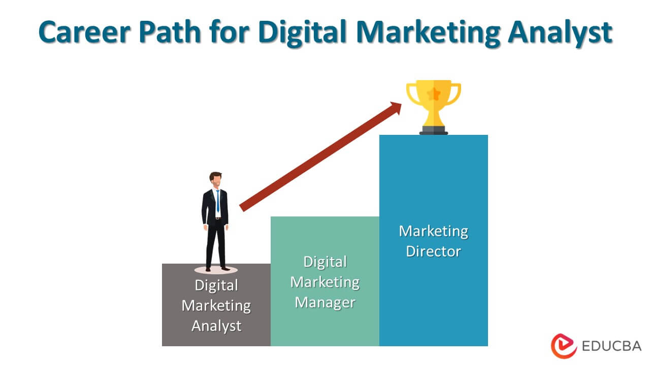 Career Path for Digital Marketing Analyst