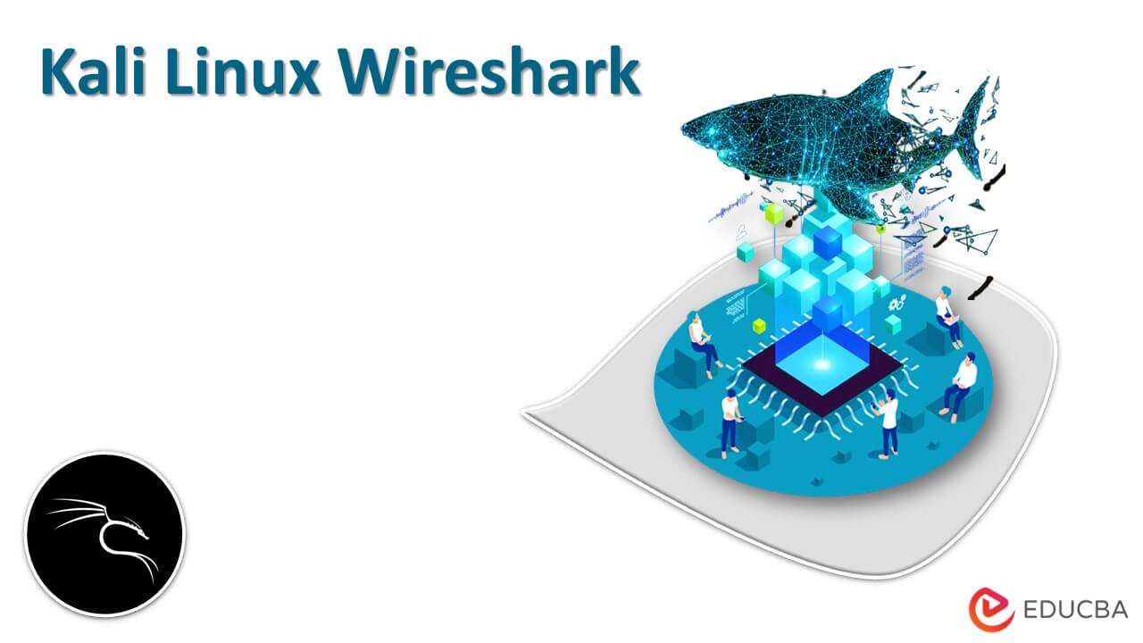 Kali Linux Wireshark