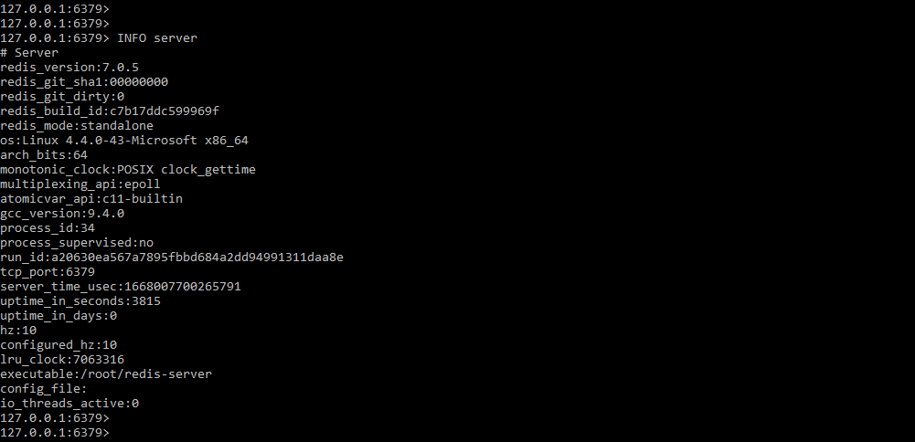 Redis INFO - Server section