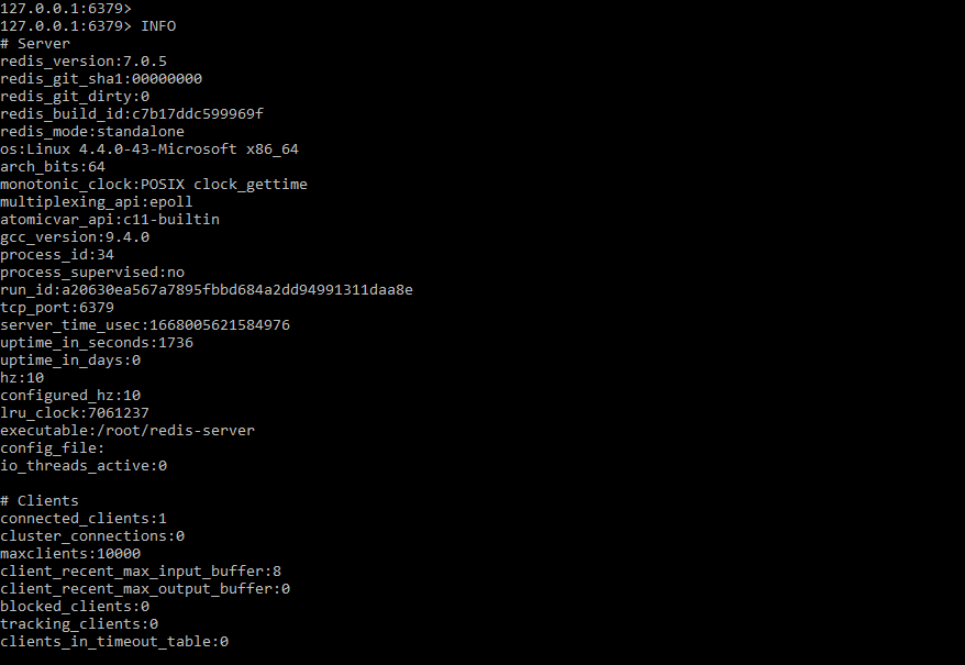 Redis INFO Command