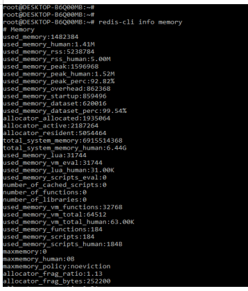 Executing Redis Memory Usage