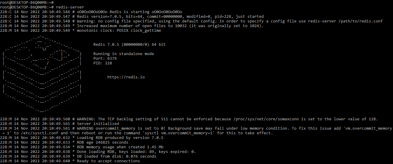 Redis RDB Server Command
