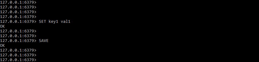 Executing the set command