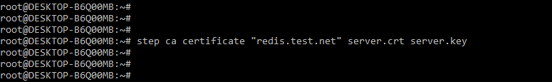 Redis TLS - Generating files