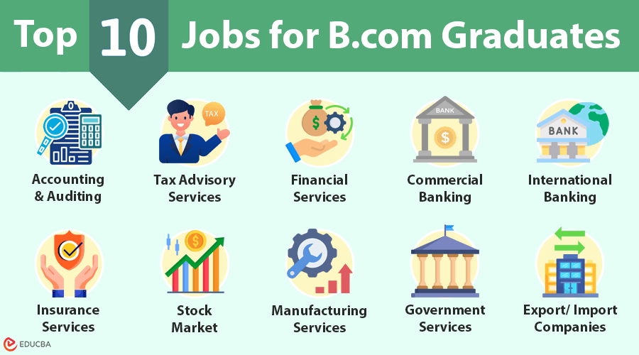 Top 10 Jobs for B.com Graduates (Freshers)