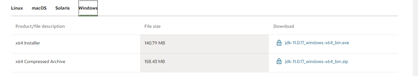 Java 11 Windows 3