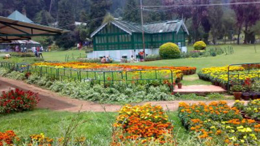 Tourist Places in Ooty-Botanical Garden
