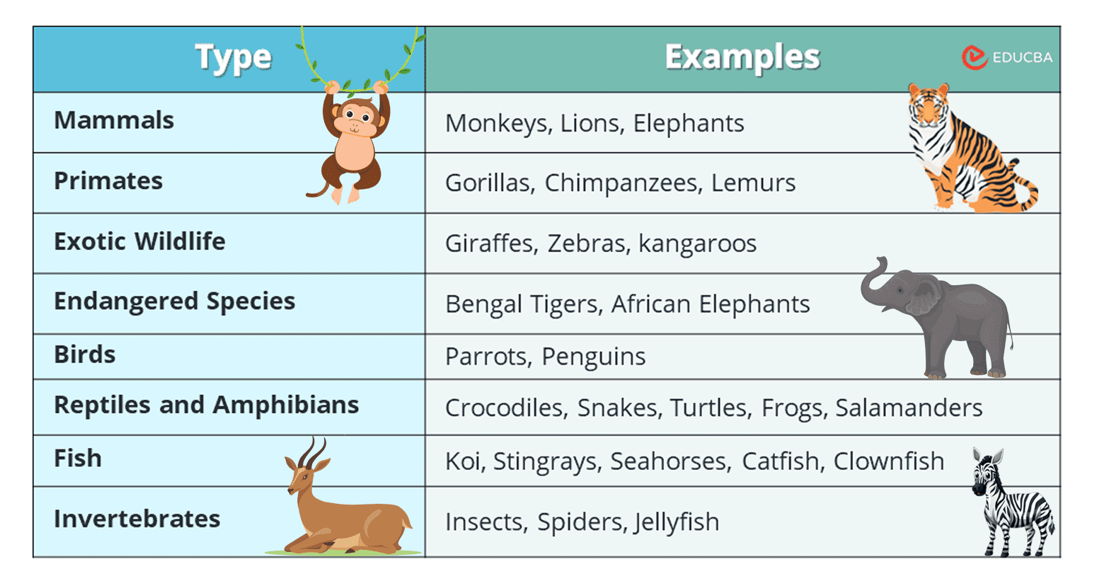 Essay on Zoos - Types of Animals in Zoos