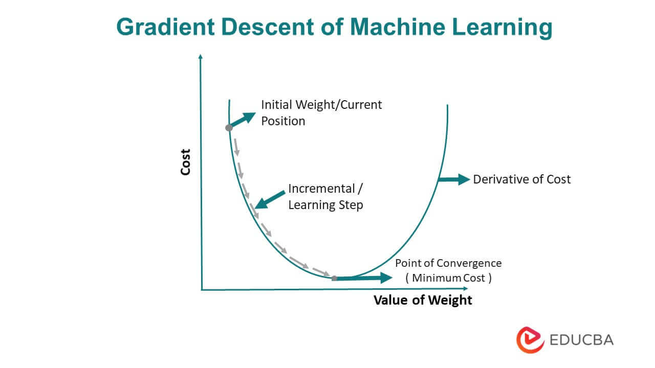 Gradient Descent of Machine Learning