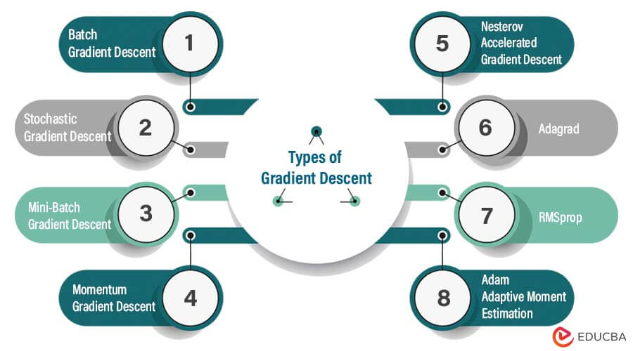Types of Gradient Descent