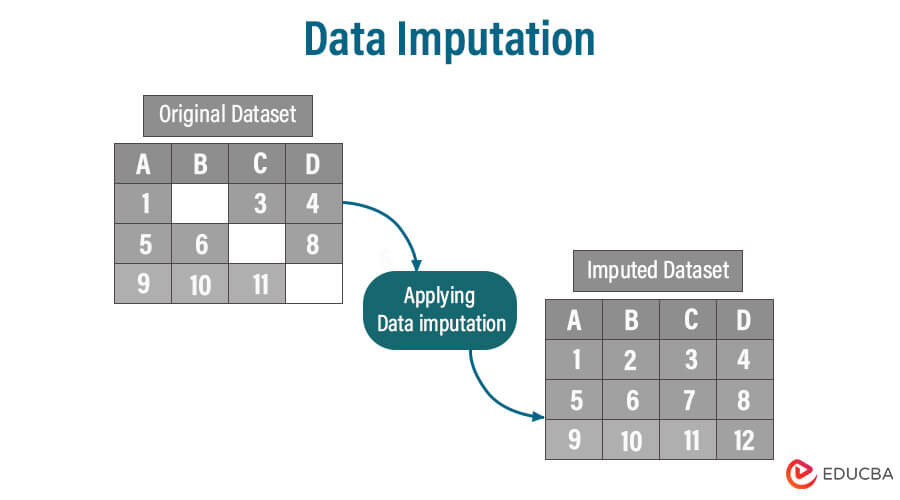Data Imputation