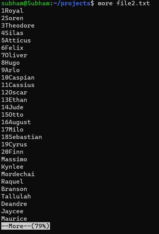 more file2.txt- Unix Command