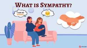 What is Sympathy?