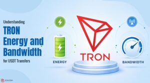 TRON Energy and Bandwidth Explained for Beginners