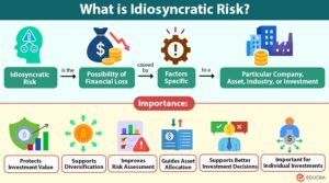 Idiosyncratic Risk