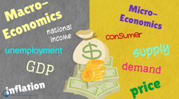 difference between micro n macro economics